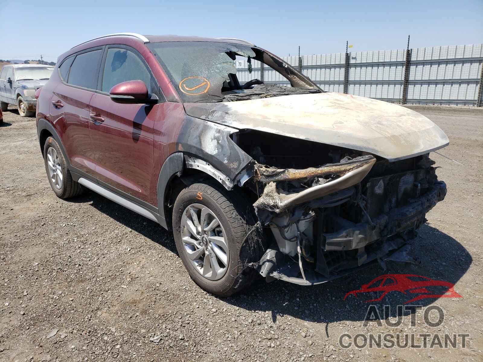 HYUNDAI TUCSON 2017 - KM8J33A42HU454605