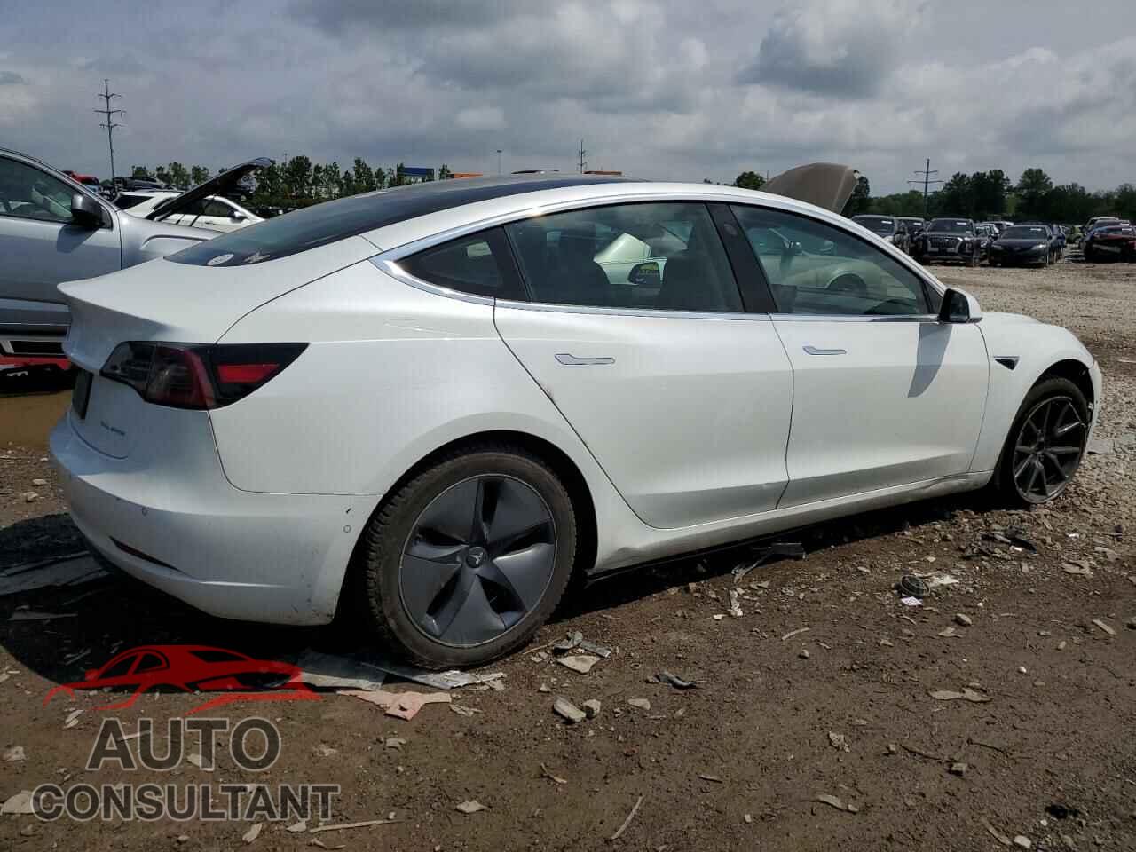 TESLA MODEL 3 2019 - 5YJ3E1EB0KF433241