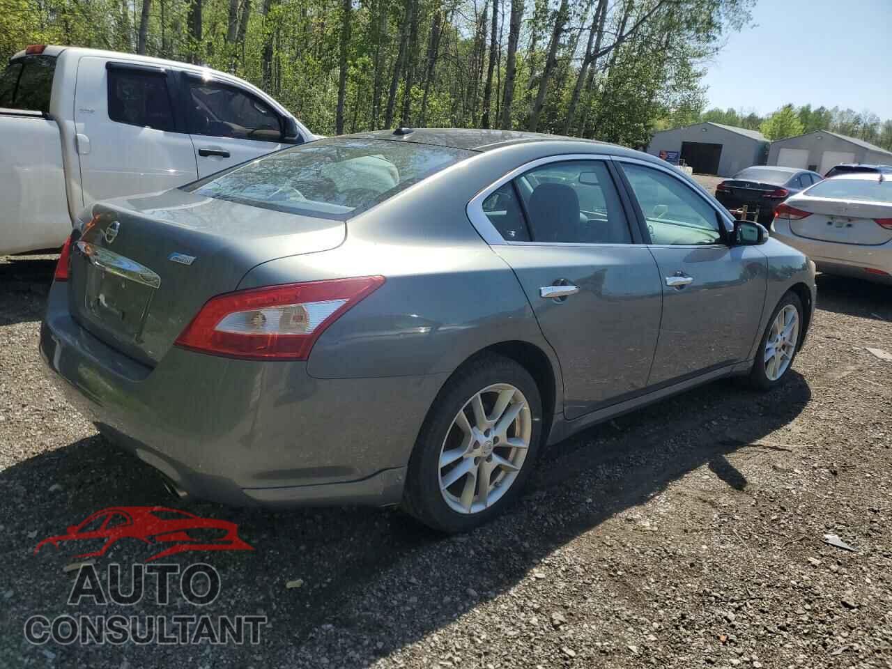 NISSAN MAXIMA 2011 - 1N4AA5AP7BC859314