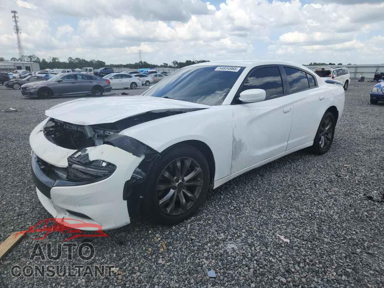 DODGE CHARGER 2020 - 2C3CDXAG9LH169573