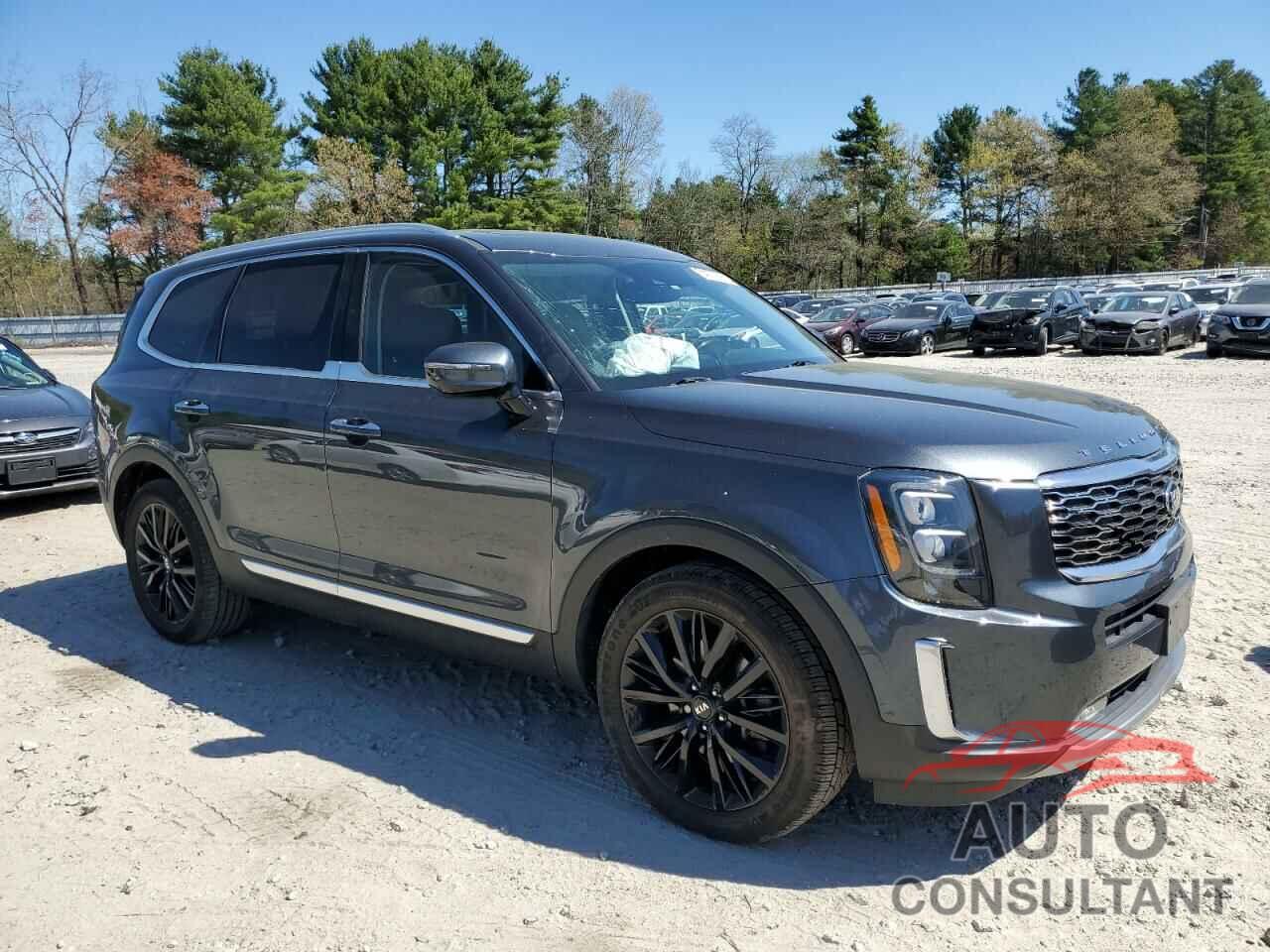 KIA TELLURIDE 2020 - 5XYP5DHC2LG075139