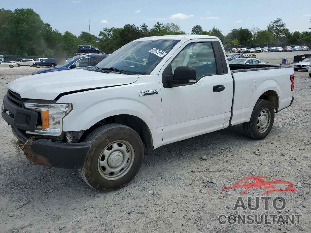 FORD All Models 2019 - 1FTMF1CB5KKC06909