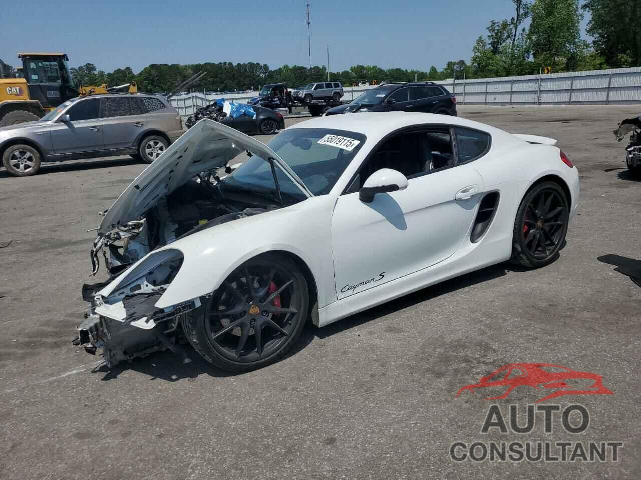 PORSCHE CAYMAN 2015 - WP0AB2A82FK184966