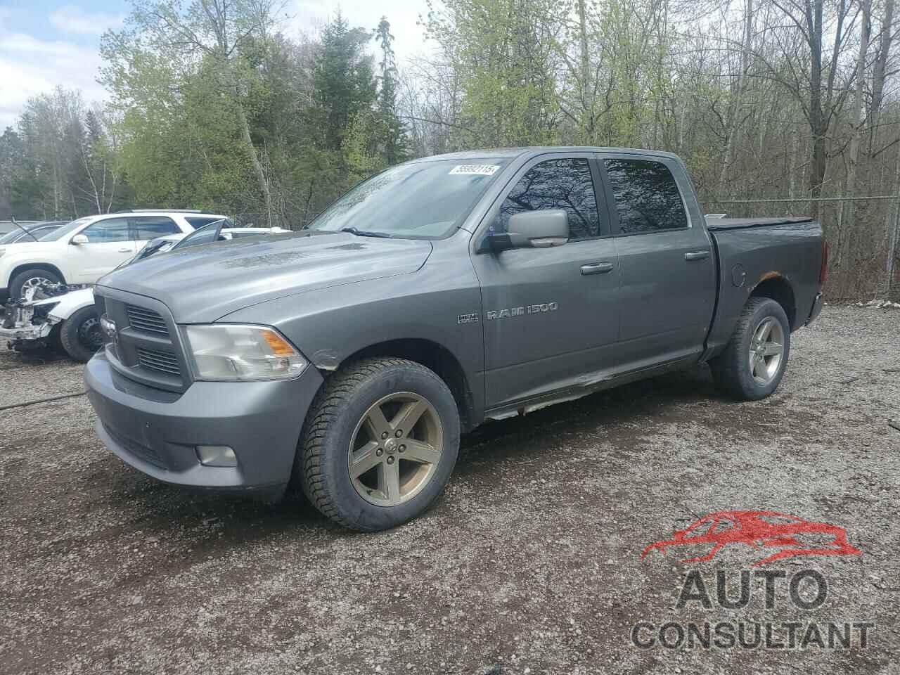 DODGE All Models 2011 - 1D7RV1CT5BS698767