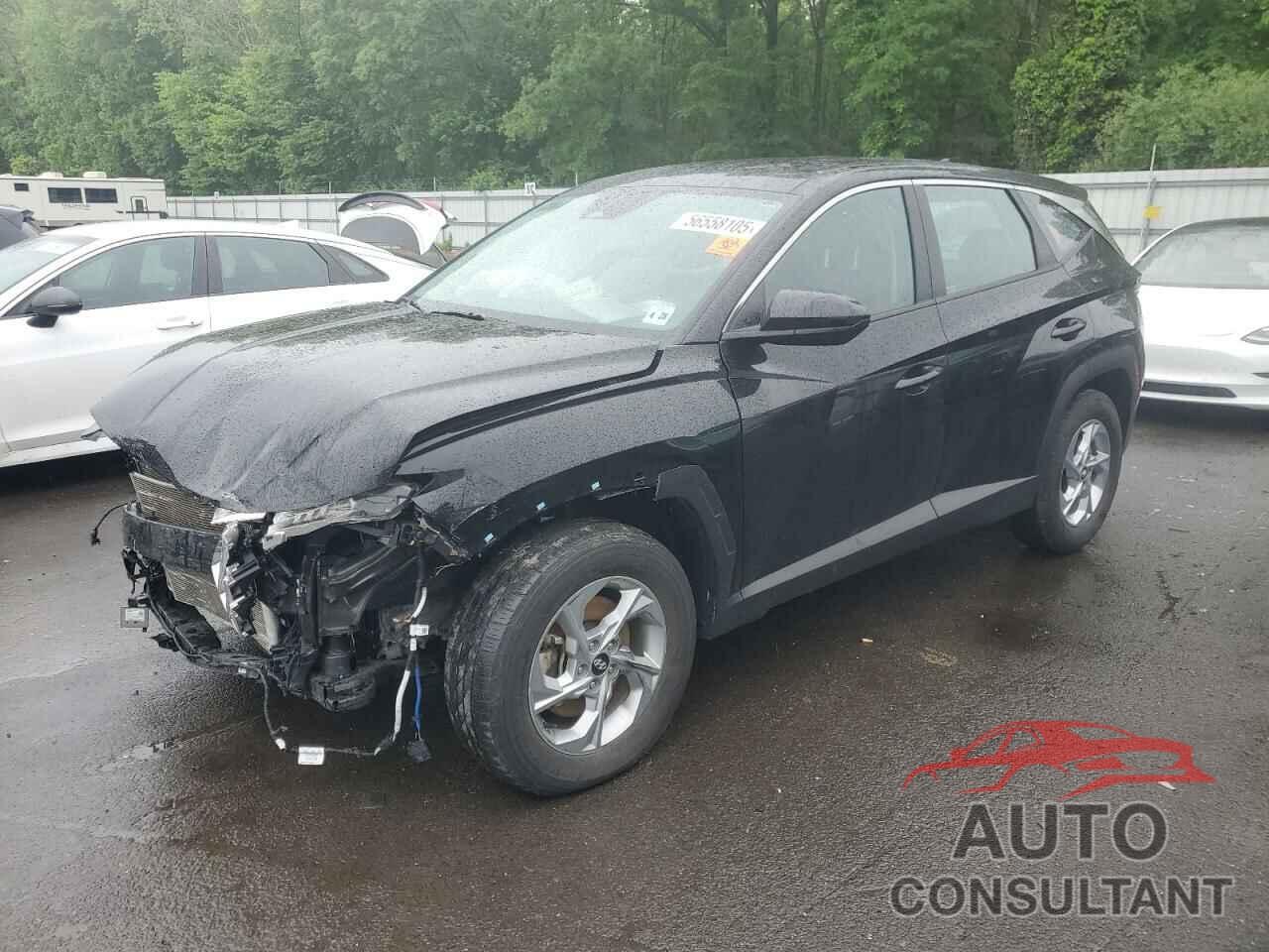 HYUNDAI TUCSON 2023 - 5NMJACAE4PH254429