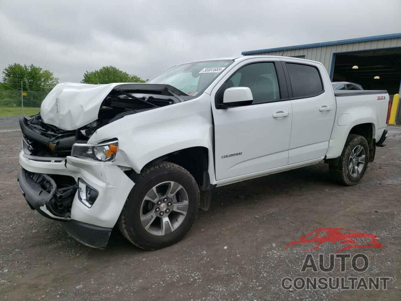 CHEVROLET COLORADO 2019 - 1GCGTDEN7K1326215