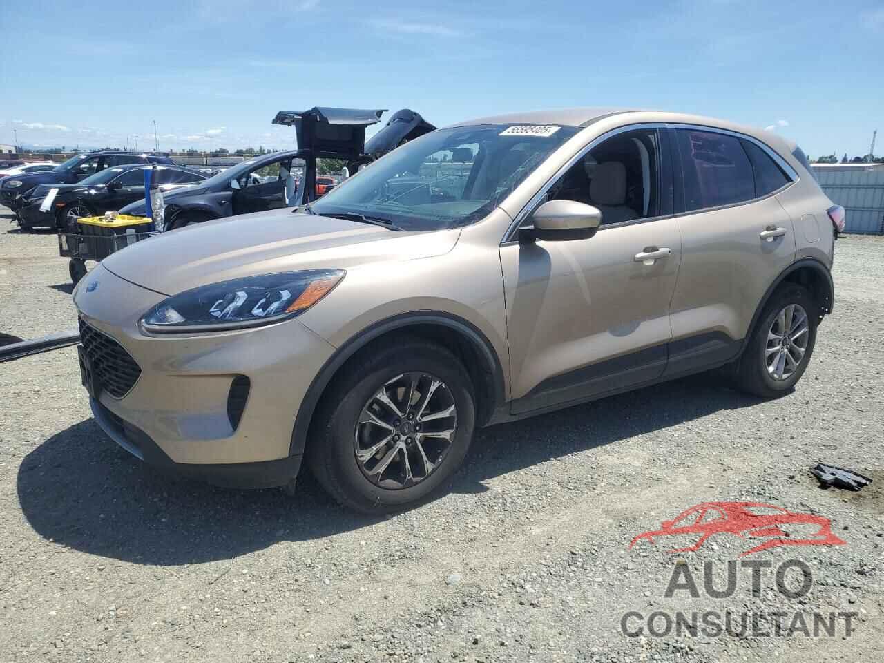 FORD ESCAPE 2021 - 1FMCU0G66MUB34372