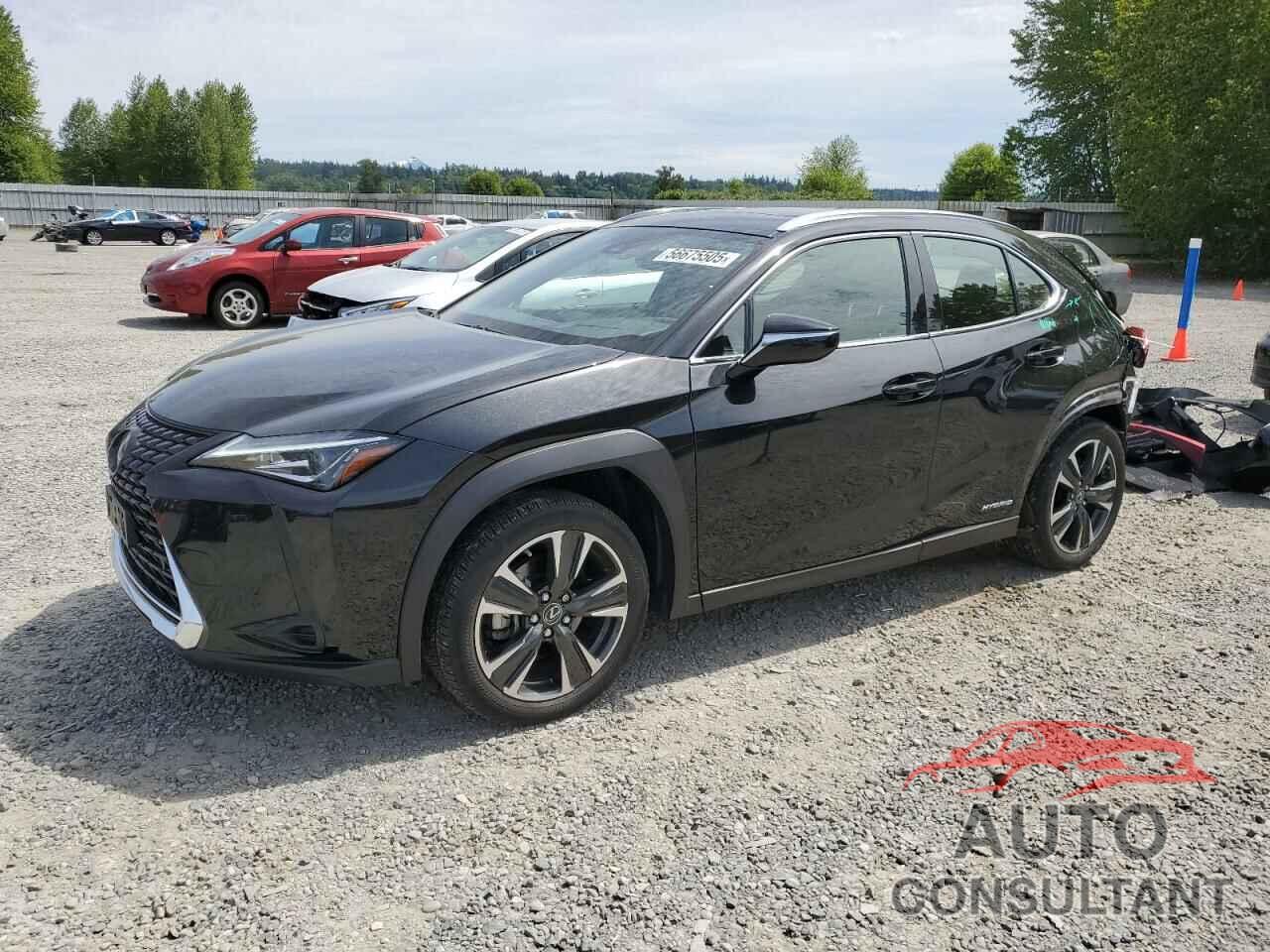 LEXUS UX 250H 2020 - JTHP9JBH6L2032942