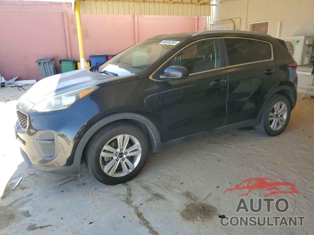 KIA SPORTAGE 2018 - KNDPM3AC7J7434499