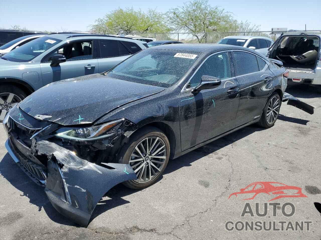 LEXUS ES300 2022 - 58ADA1C18NU021319