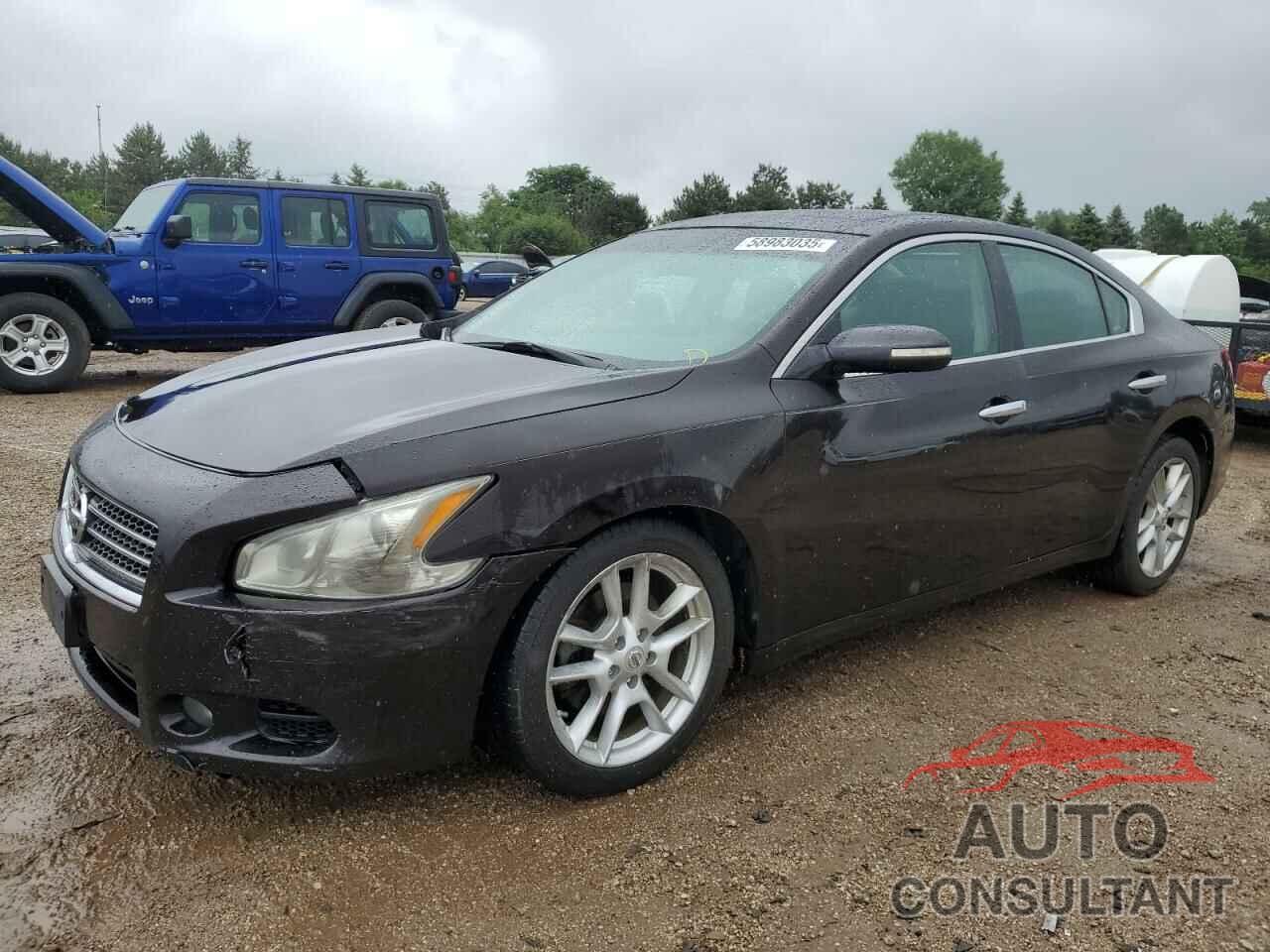 NISSAN MAXIMA 2010 - 1N4AA5AP6AC805386