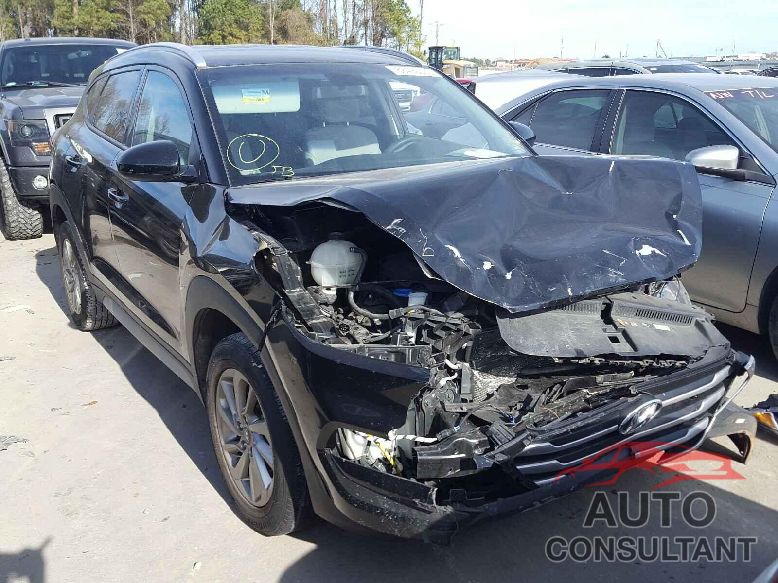 HYUNDAI TUCSON 2017 - KM8J33A41HU425421
