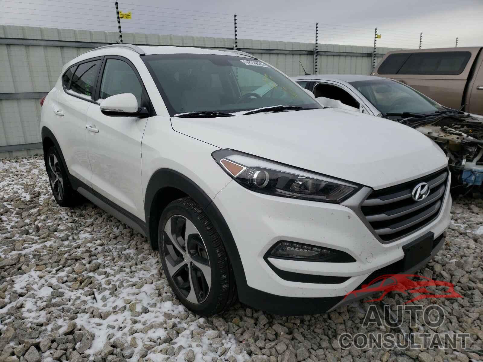 HYUNDAI TUCSON 2017 - KM8J33A20HU552563