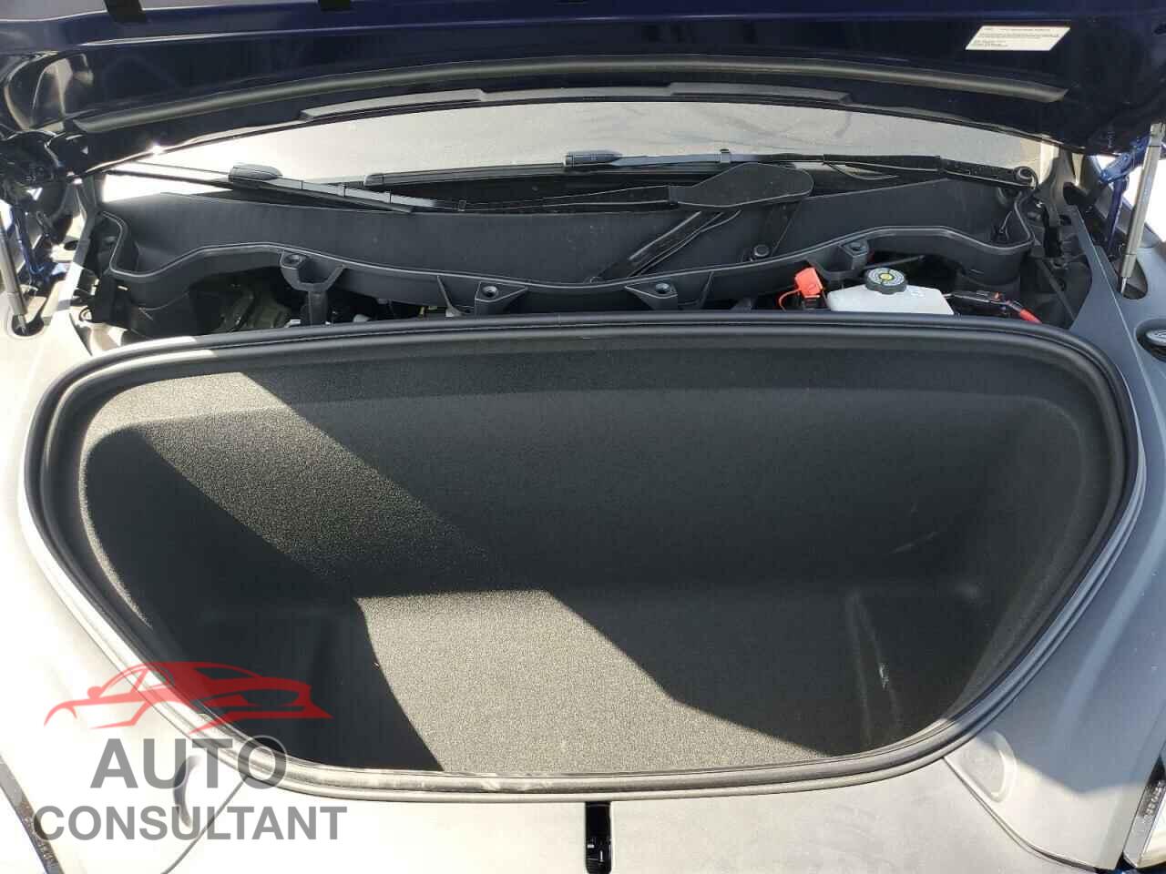 TESLA MODEL X 2024 - 7SAXCAE59RF447038