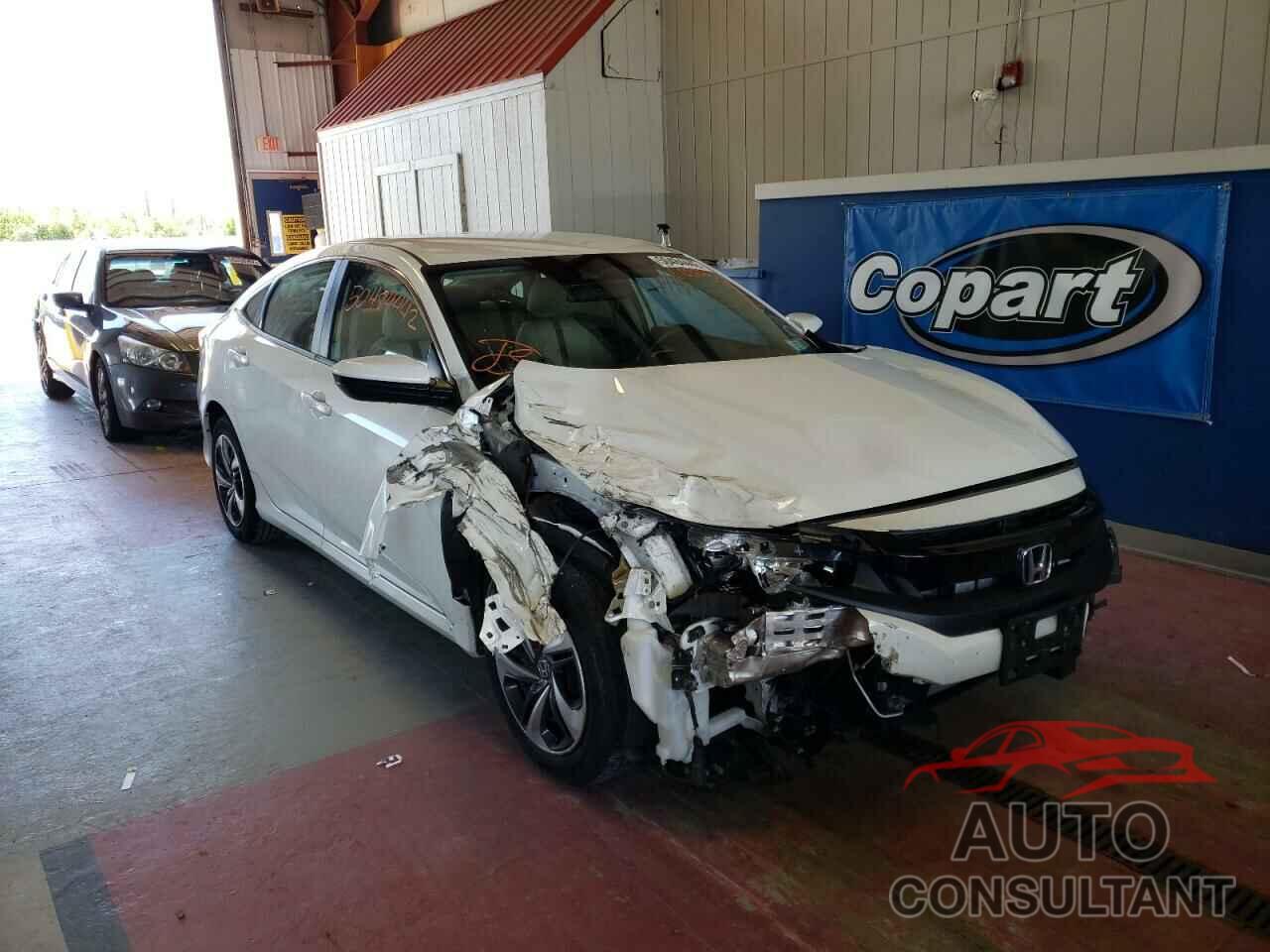 HONDA CIVIC 2019 - 2HGFC2F61KH603550