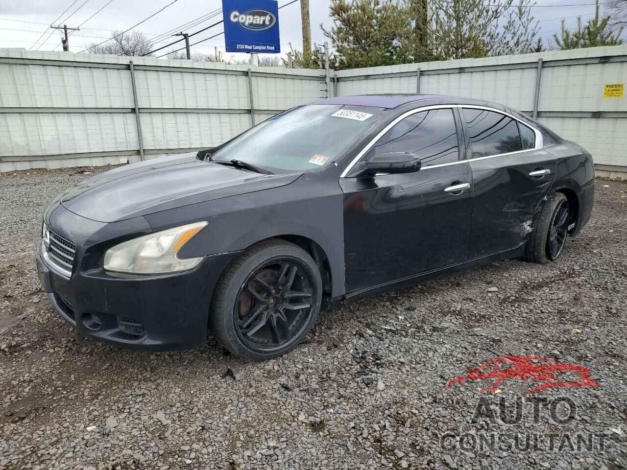 NISSAN MAXIMA 2009 - 1N4AA51EX9C838207