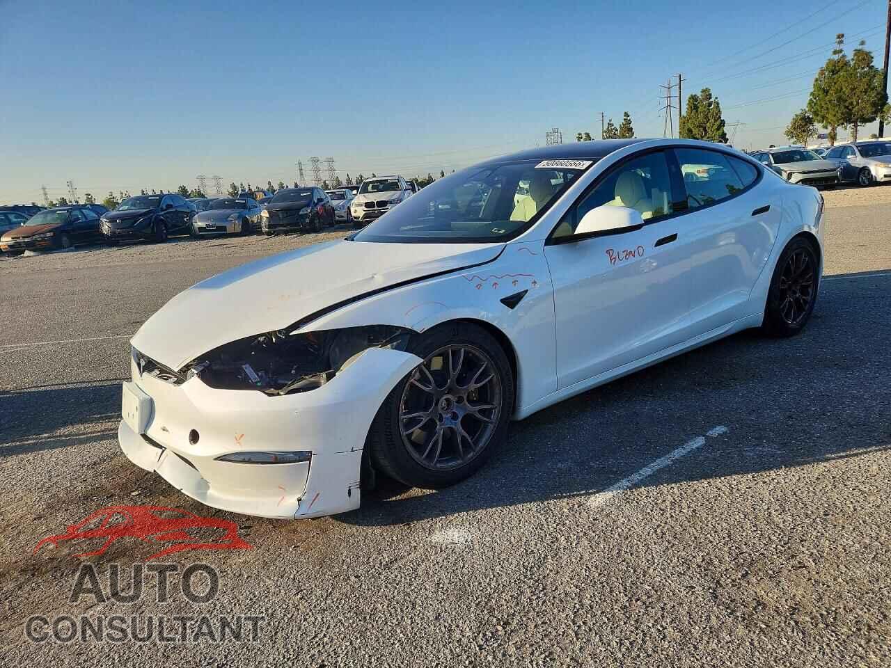 TESLA MODEL S 2023 - 5YJSA1E59PF516191