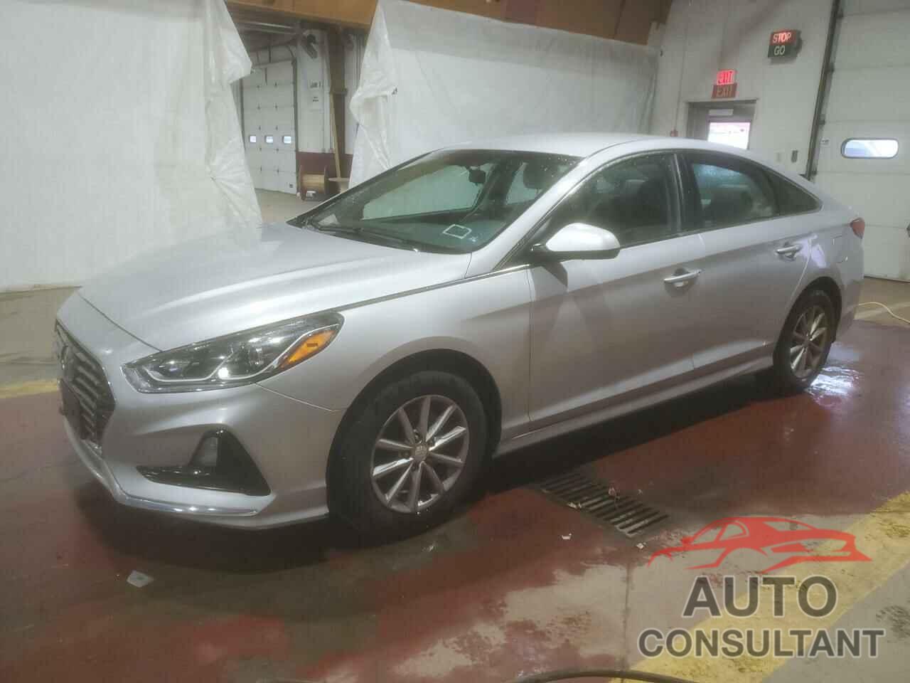 HYUNDAI SONATA 2019 - 5NPE24AF7KH779557