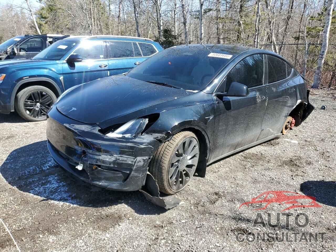 TESLA MODEL Y 2022 - 7SAYGDEF0NF572538