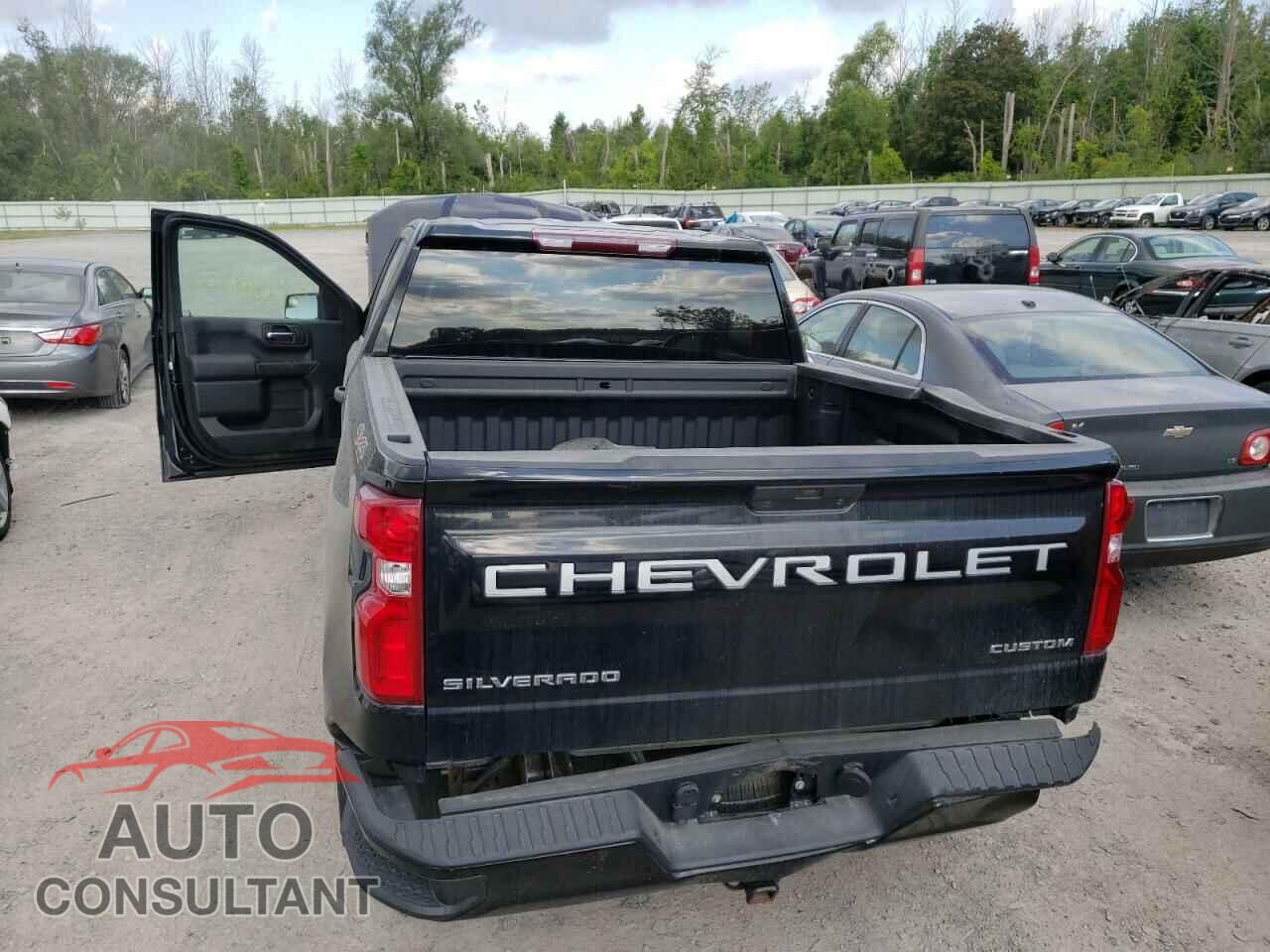 CHEVROLET SILVERADO 2020 - 1GCPYBEHXLZ138968