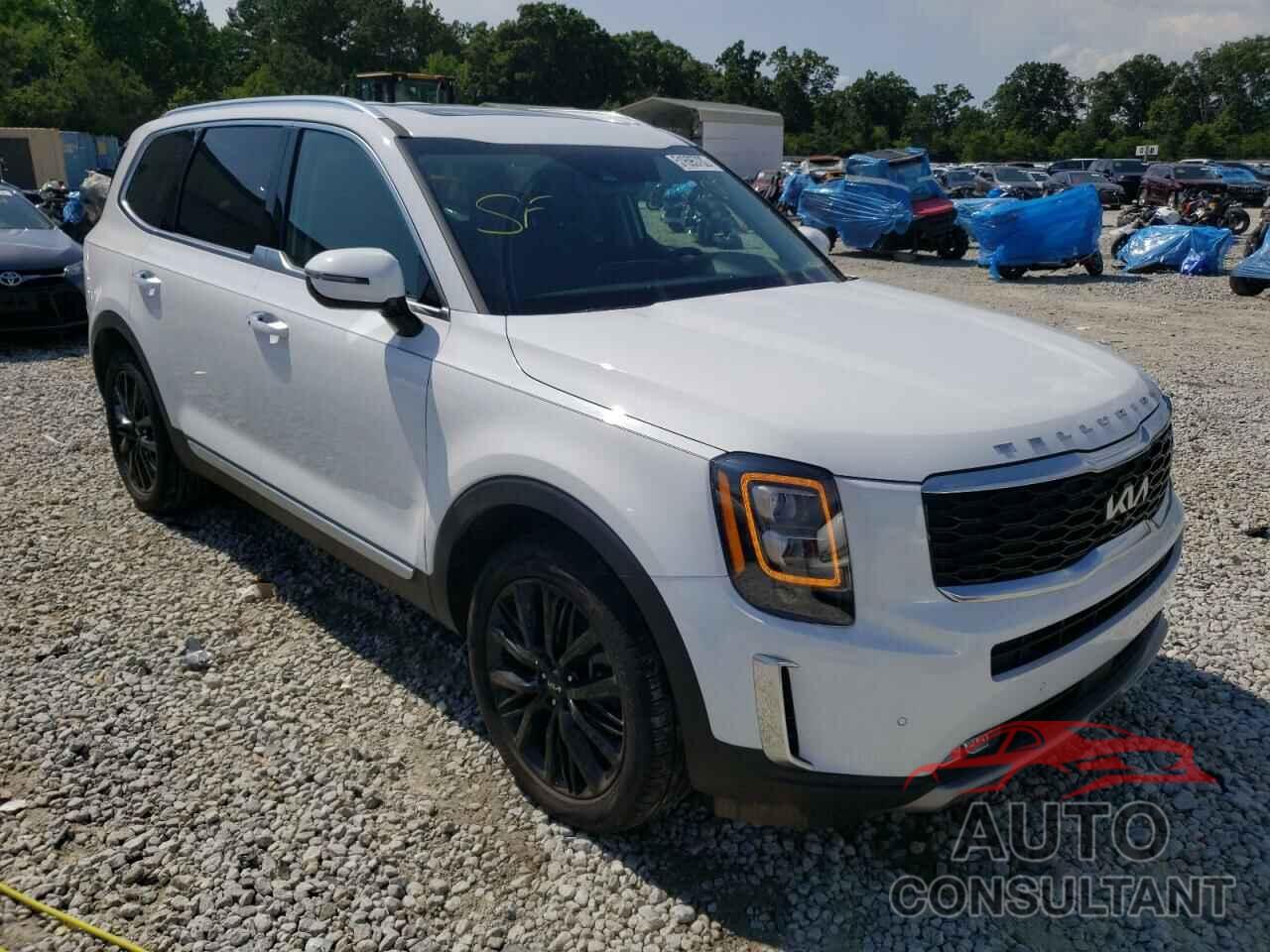 KIA TELLURIDE 2022 - 5XYP54HC8NG225693