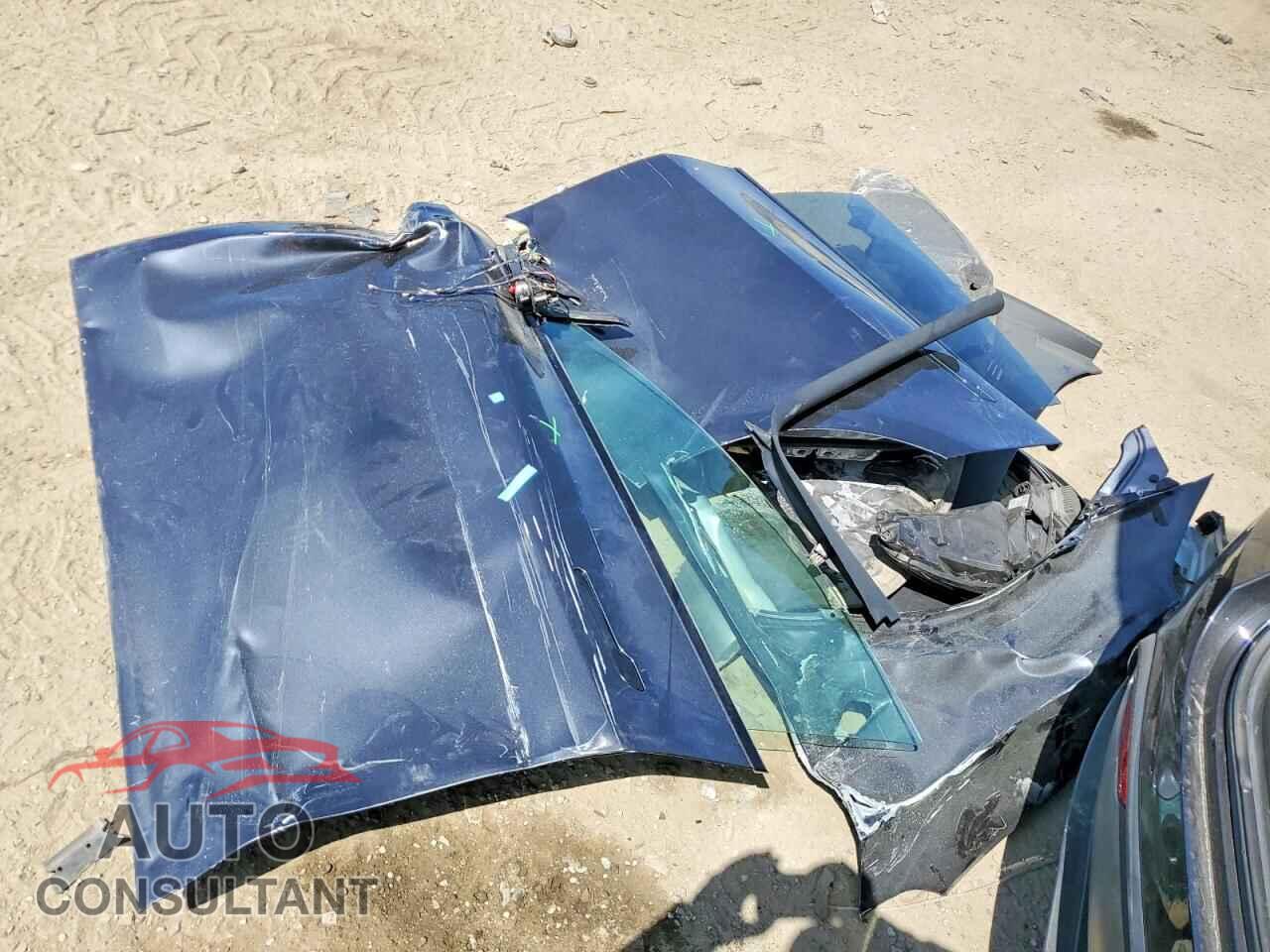 TESLA MODEL Y 2024 - 7SAYGDED9RF183126