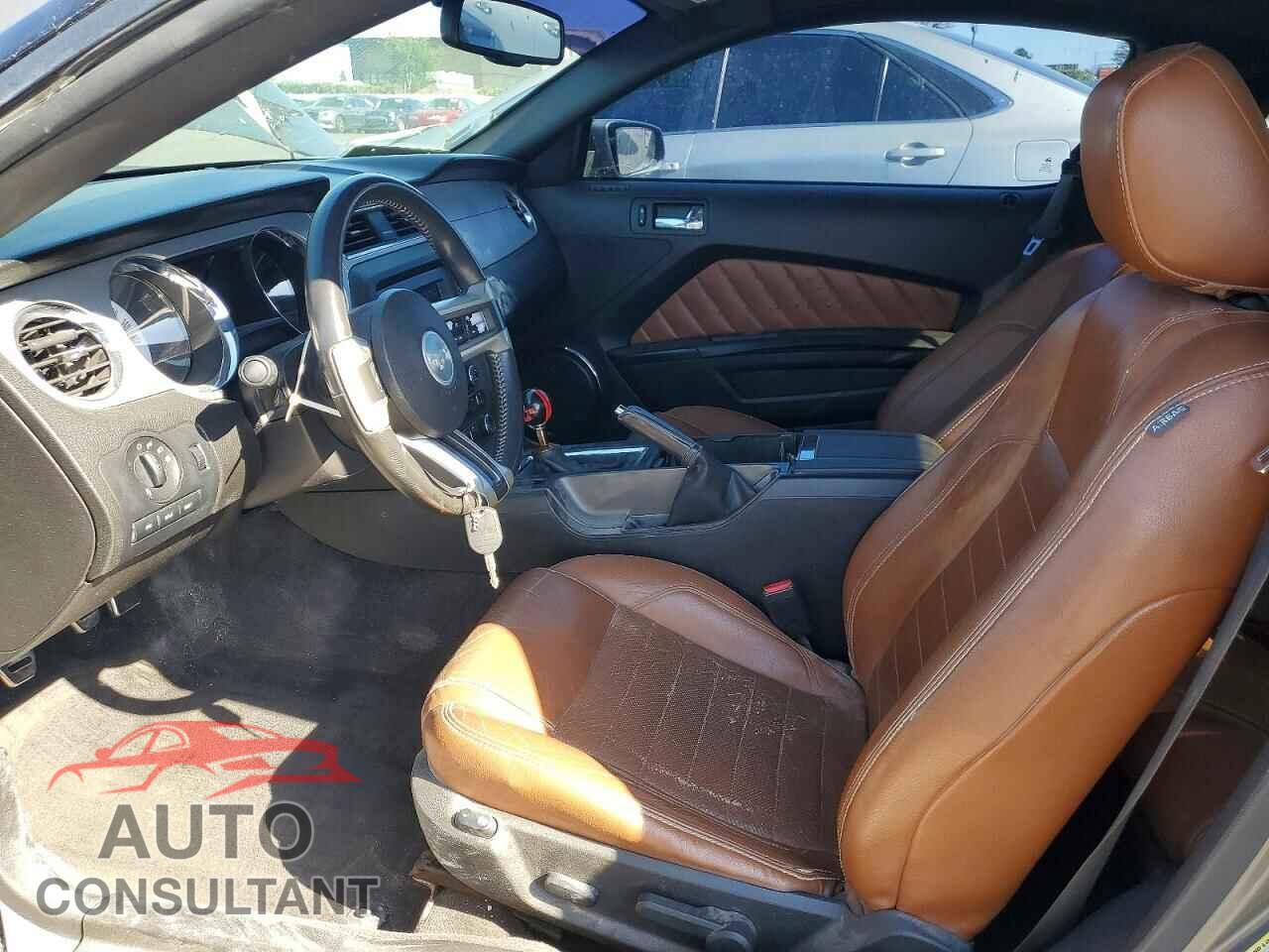 FORD MUSTANG 2011 - 1ZVBP8AM8B5154902