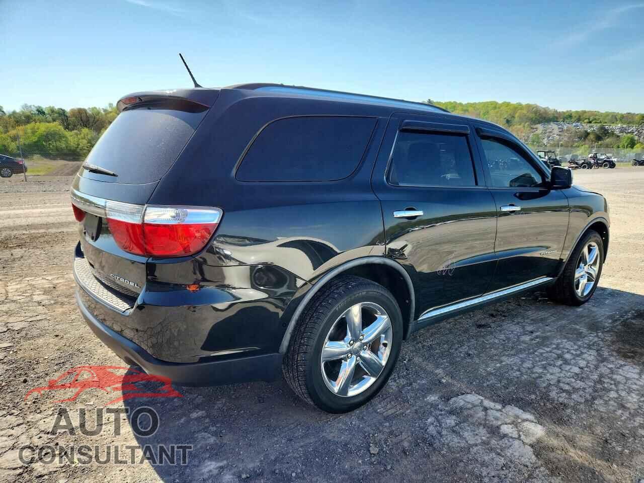 DODGE DURANGO 2011 - 1D4RE5GG5BC613860