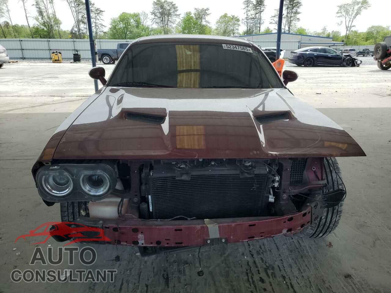 DODGE CHALLENGER 2019 - 2C3CDZAG2KH684540