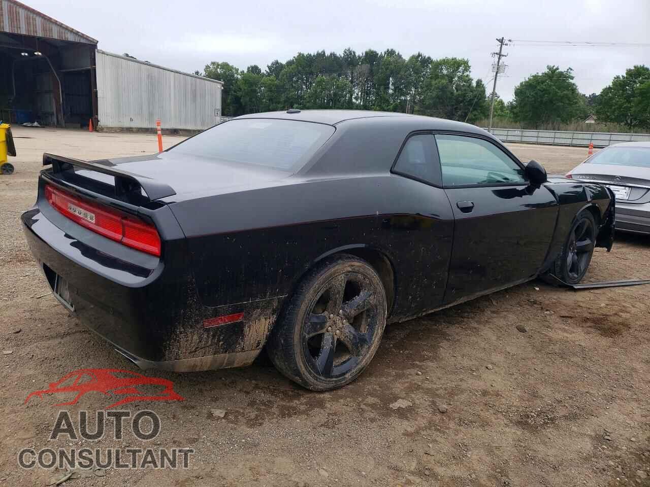 DODGE CHALLENGER 2013 - 2C3CDYBTXDH641430