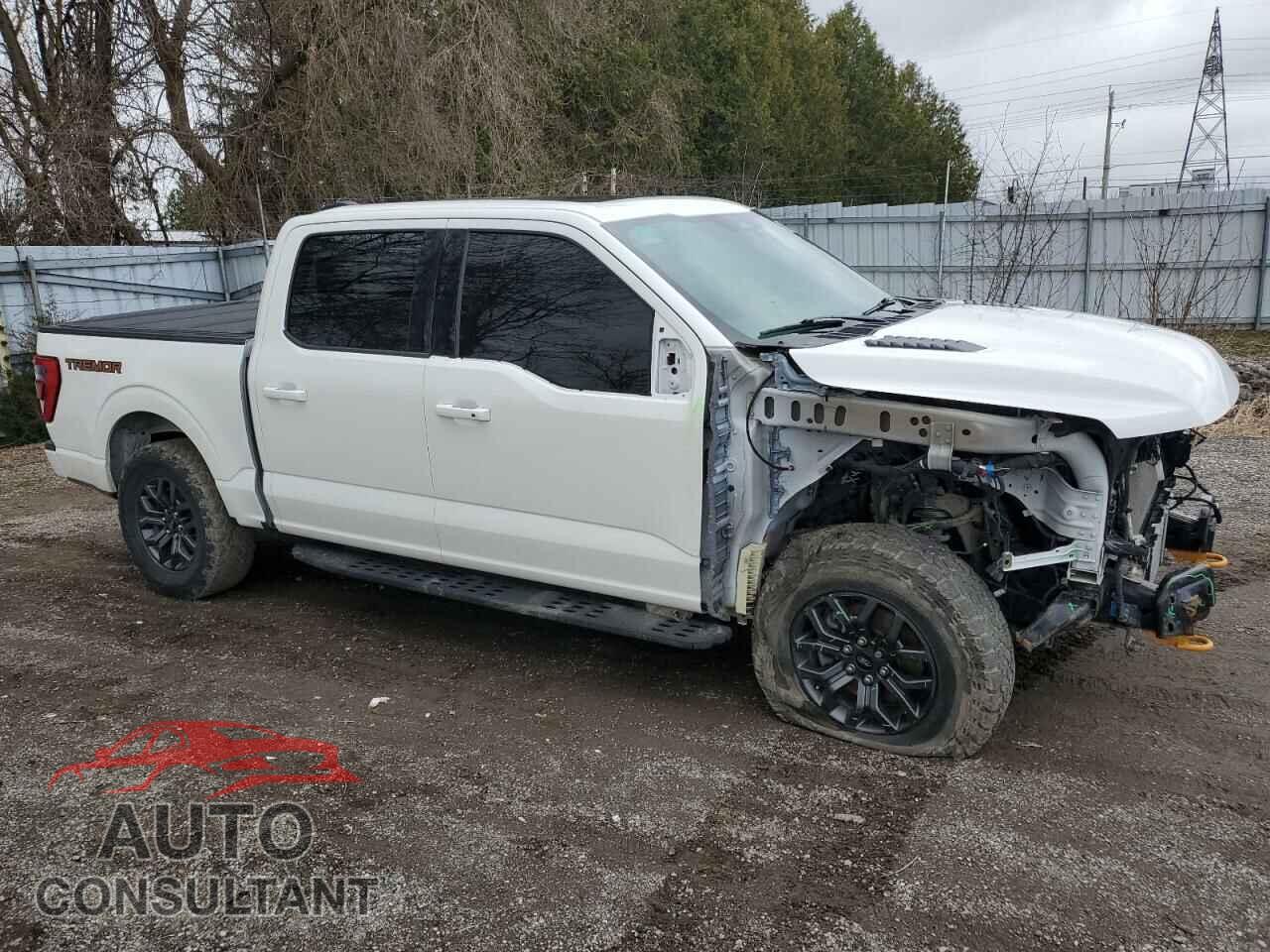FORD F-150 2023 - 1FTEW1E8XPFB78868
