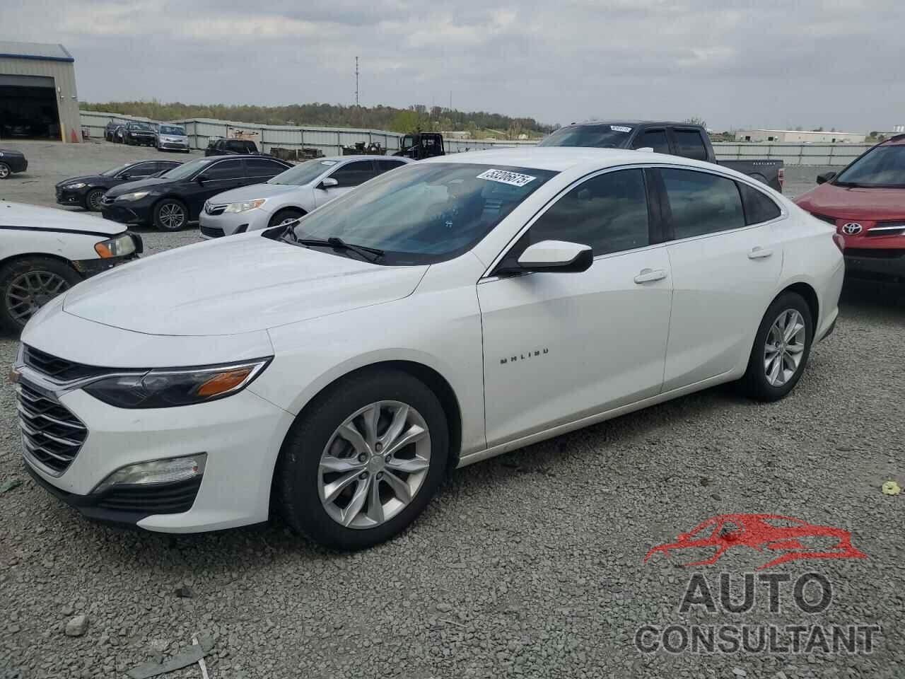 CHEVROLET MALIBU 2019 - 1G1ZD5ST1KF164866