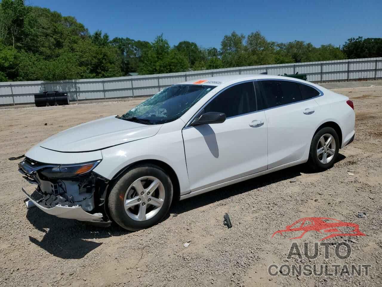 CHEVROLET MALIBU 2019 - 1G1ZB5ST9KF192890