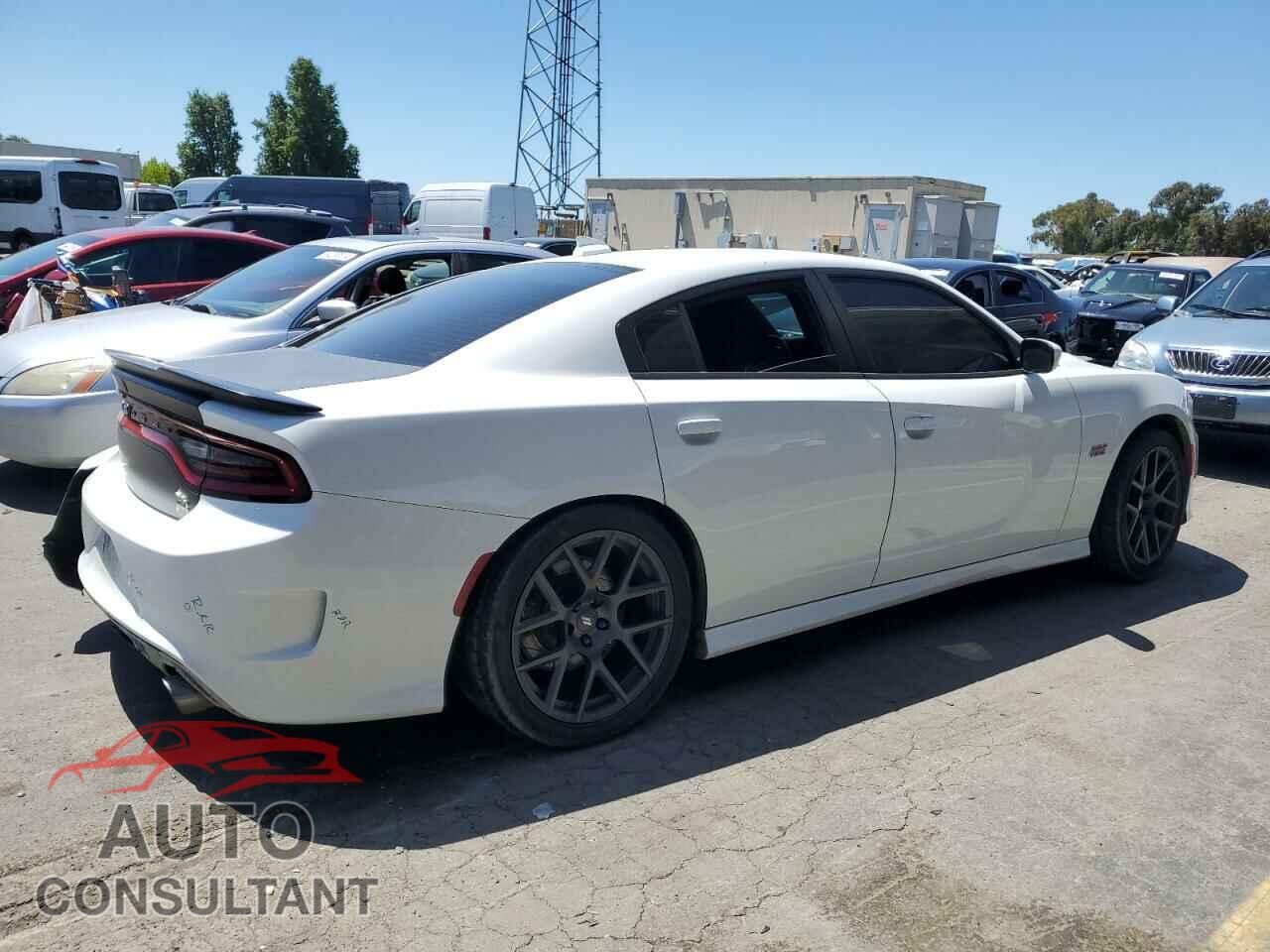 DODGE CHARGER 2019 - 2C3CDXGJ0KH696564