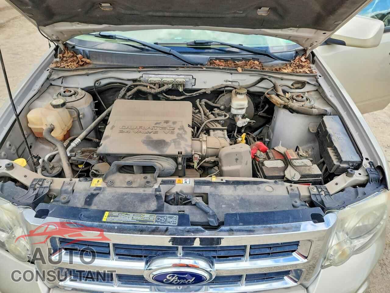 FORD ESCAPE 2012 - 1FMCU0EG2CKC01751