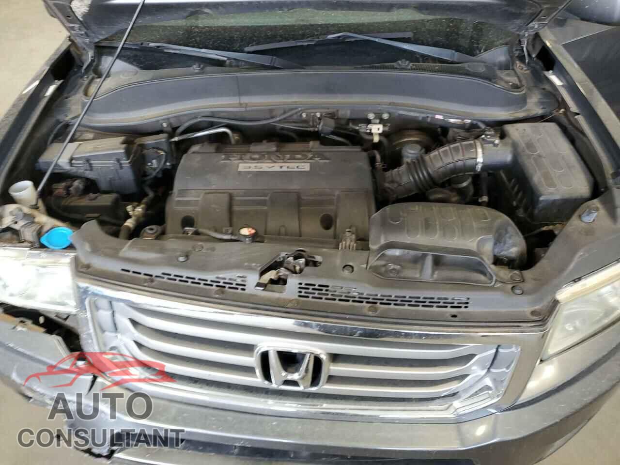 HONDA RIDGELINE 2013 - 5FPYK1F41DB010130