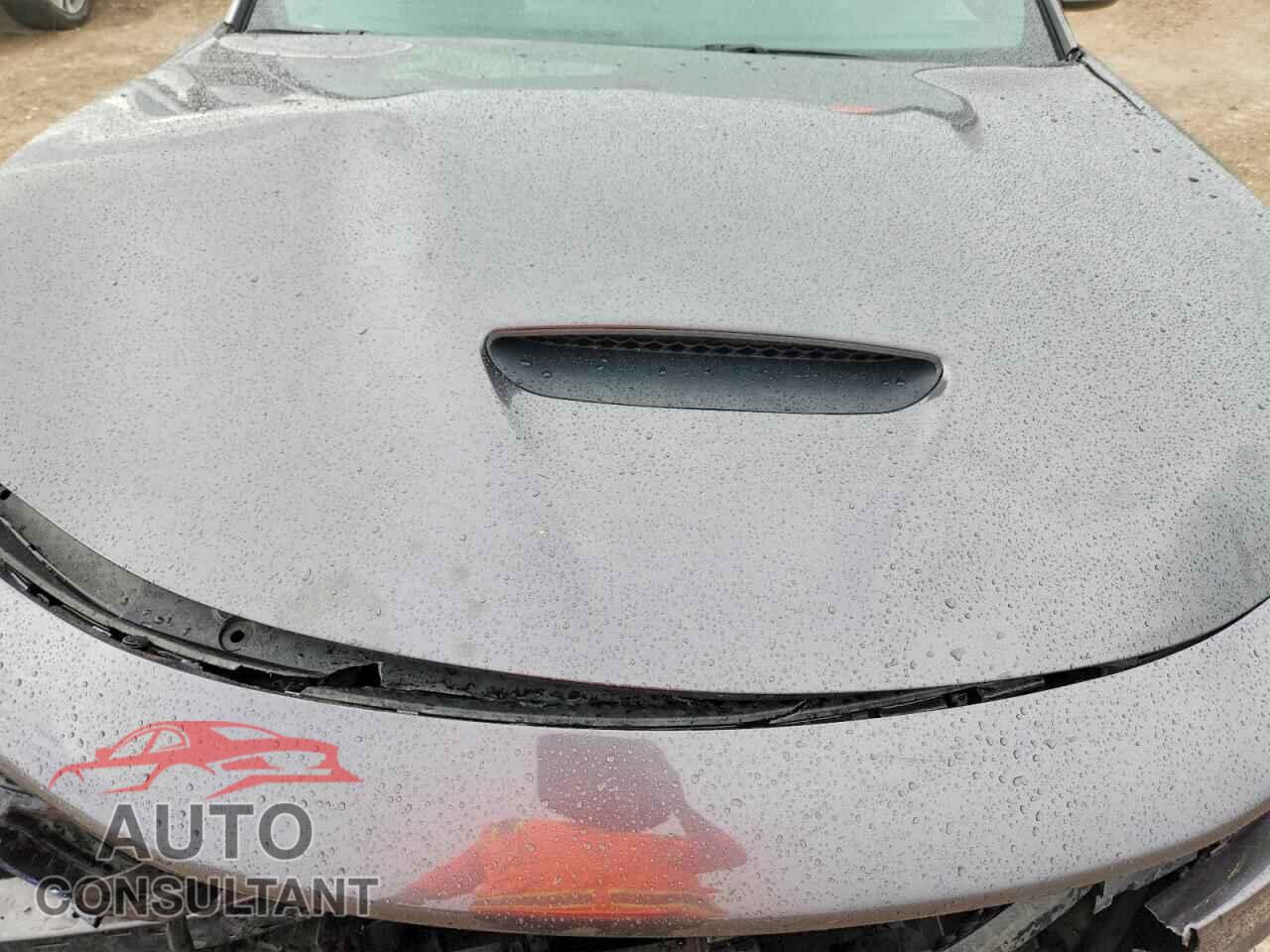 DODGE CHARGER 2019 - 2C3CDXCT4KH754411