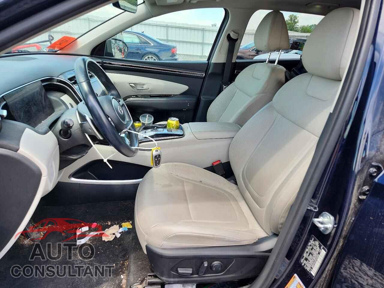 HYUNDAI TUCSON 2023 - KM8JFCA10PU134565