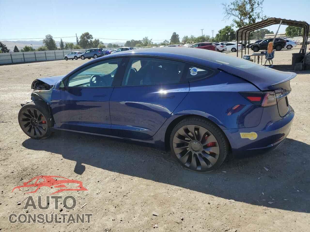 TESLA MODEL 3 2021 - 5YJ3E1EC3MF055783