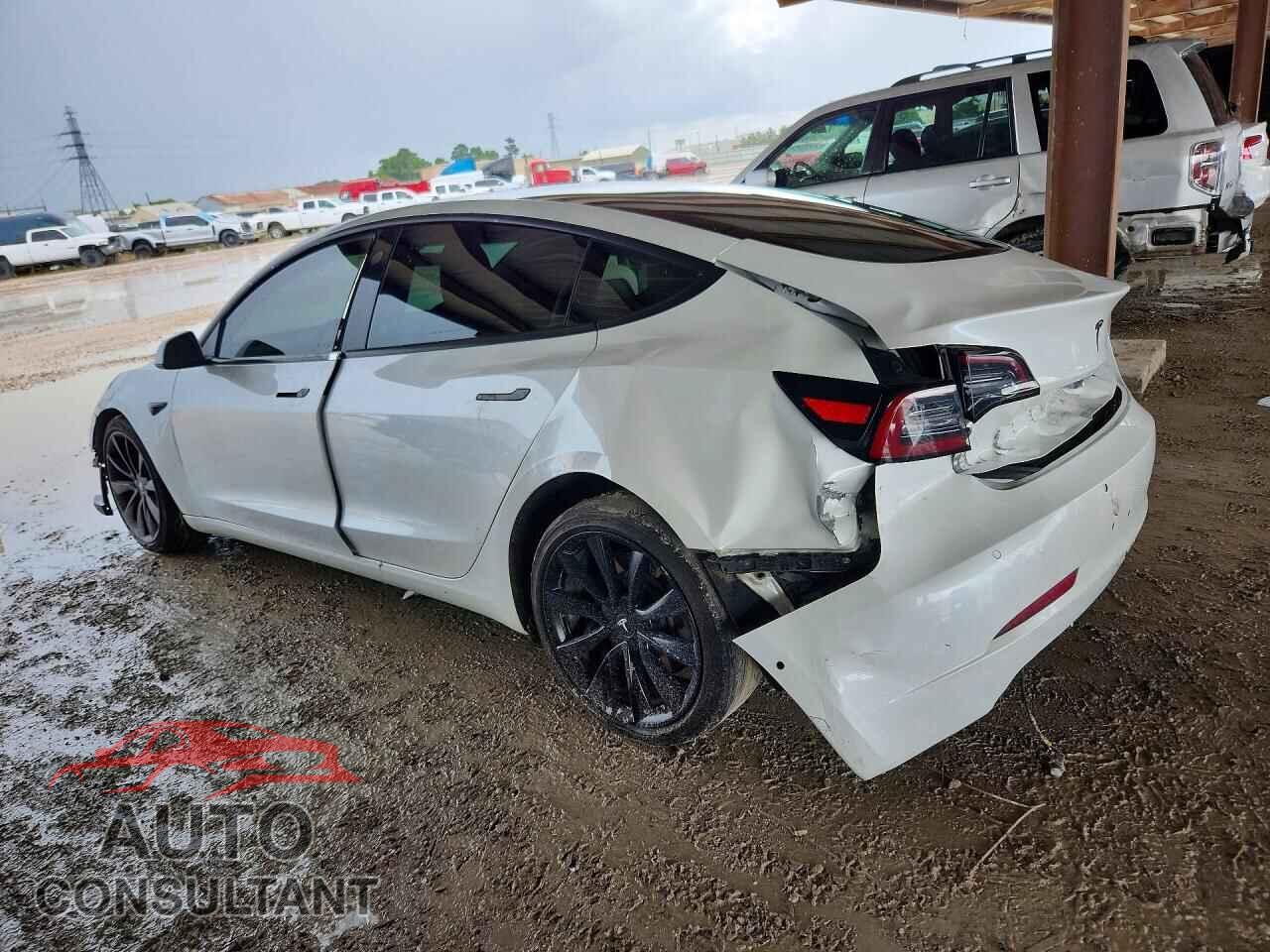 TESLA MODEL 3 2019 - 5YJ3E1EB3KF469585
