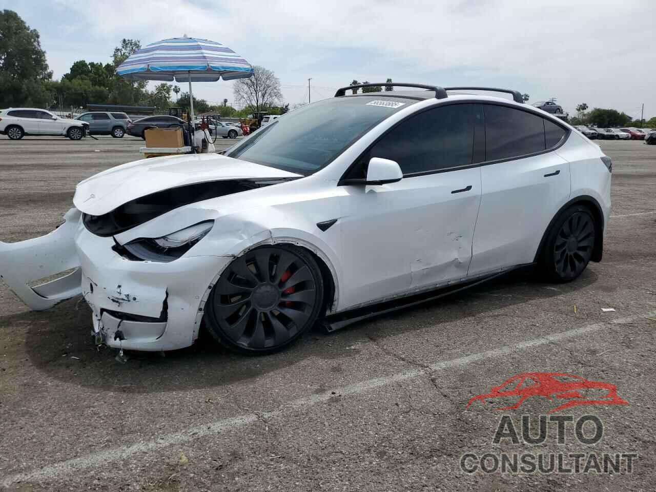 TESLA MODEL Y 2022 - 7SAYGDEF6NF336752