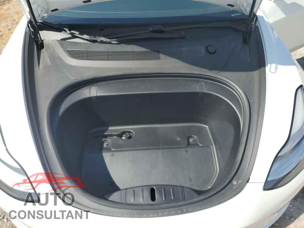 TESLA MODEL 3 2019 - 5YJ3E1EB8KF493980