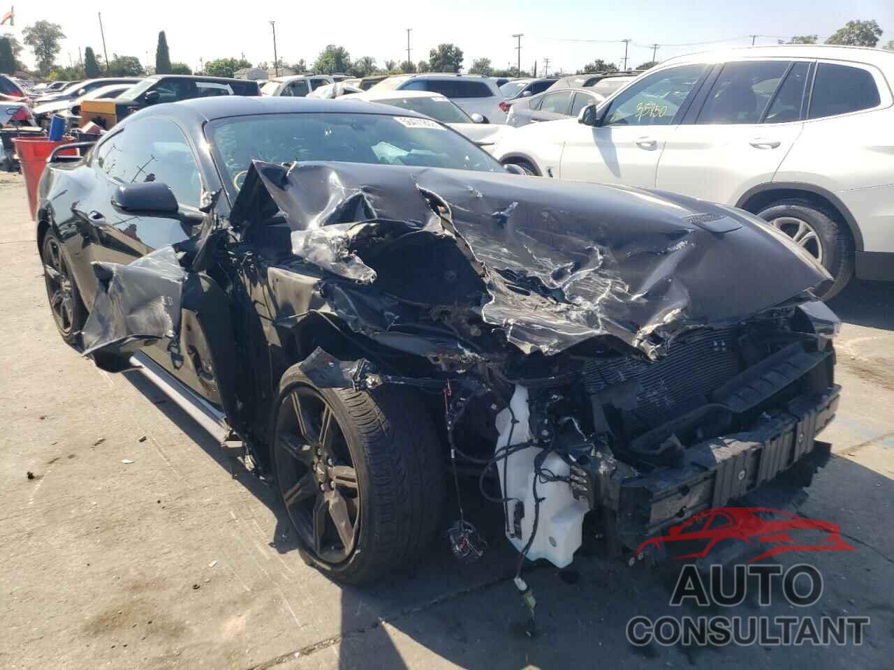 FORD MUSTANG 2019 - 1FA6P8TH1K5143671