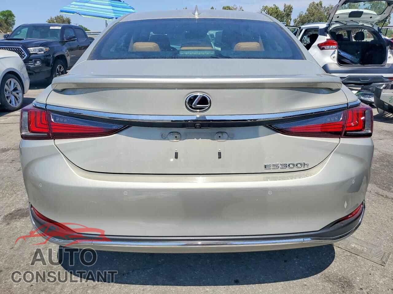 LEXUS ES300 2024 - 58ADA1C19RU042427