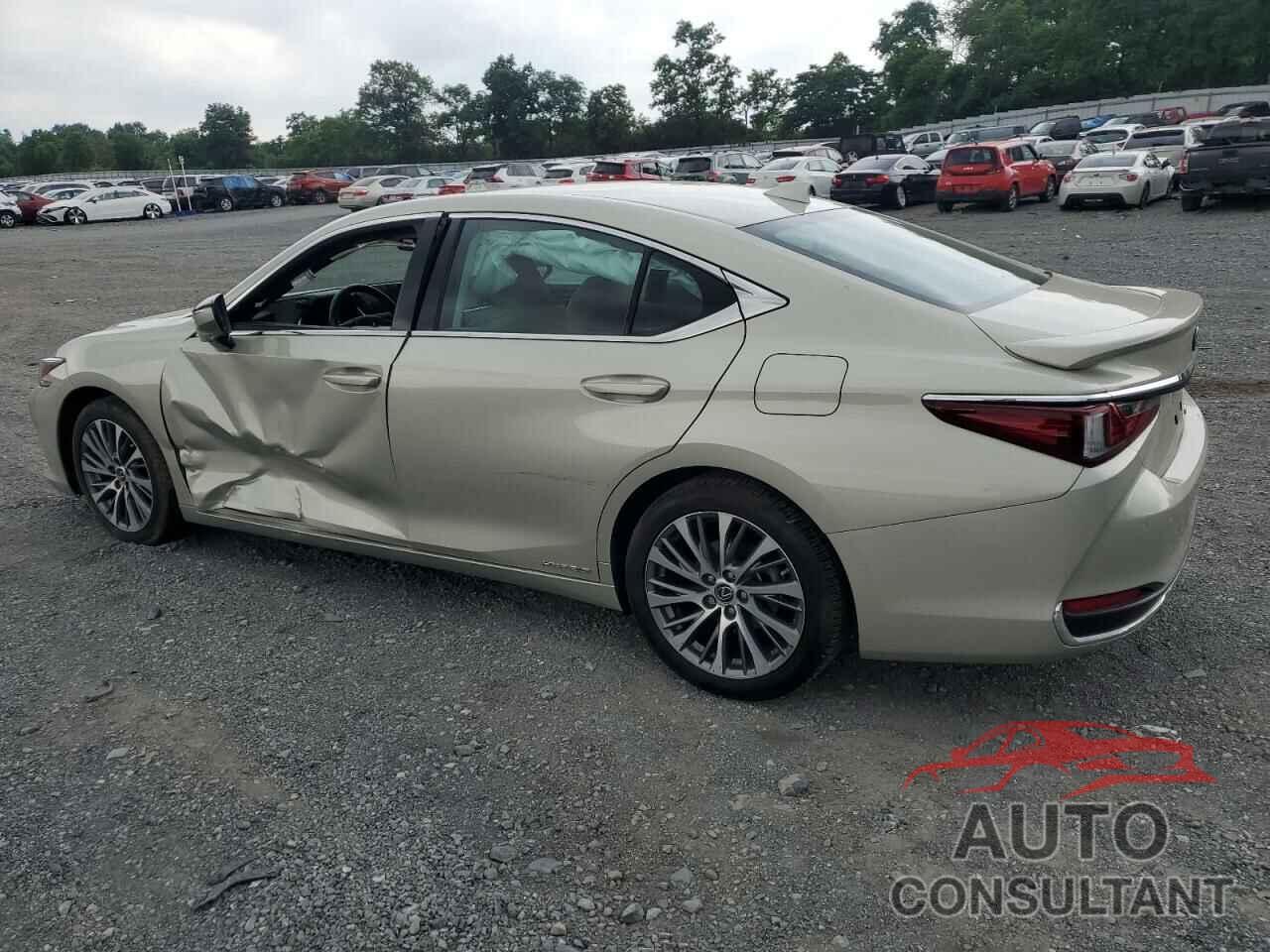 LEXUS ES300 2020 - 58AD21B12LU007265