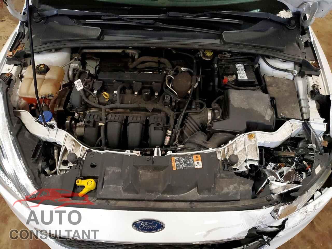 FORD FOCUS 2016 - 1FADP3E20GL281188