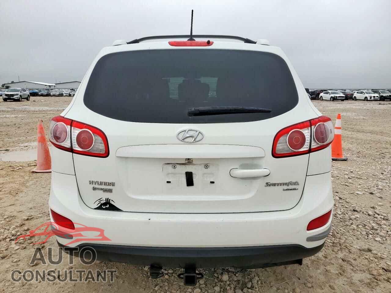 HYUNDAI SANTA FE 2010 - 5NMSGDAG8AH359573