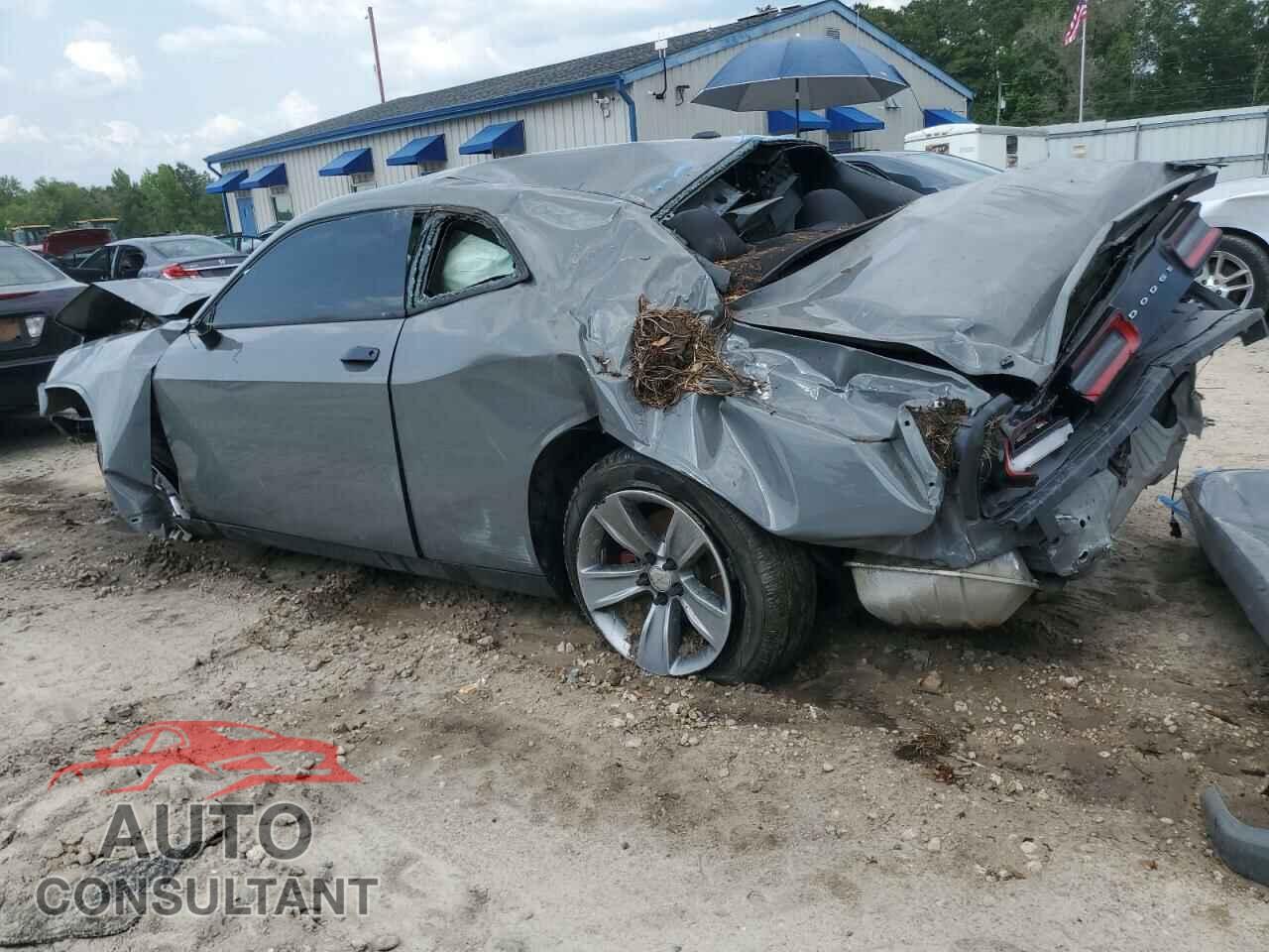 DODGE CHALLENGER 2019 - 2C3CDZAGXKH620391