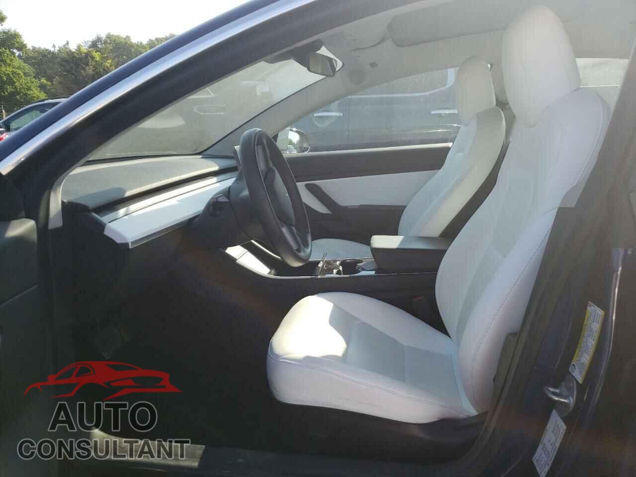 TESLA MODEL 3 2019 - 5YJ3E1EB1KF390979