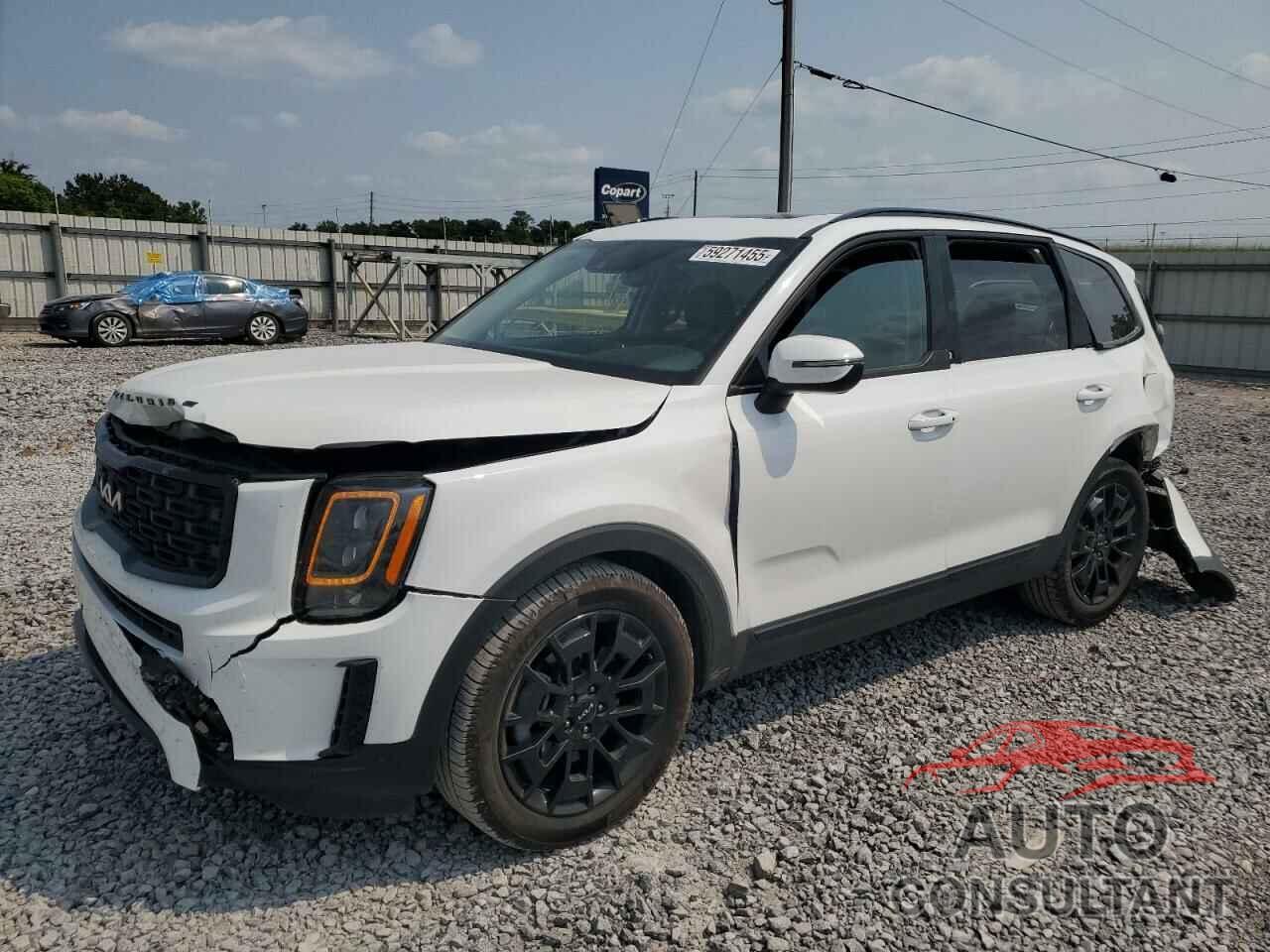 KIA TELLURIDE 2022 - 5XYP3DHC3NG291087